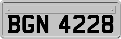 BGN4228