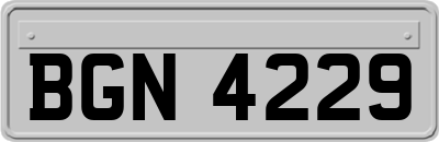 BGN4229