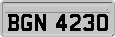 BGN4230