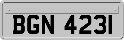BGN4231