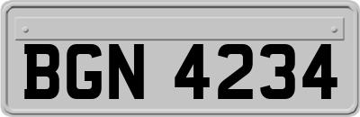 BGN4234