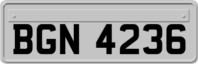 BGN4236