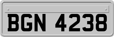 BGN4238