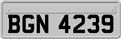 BGN4239