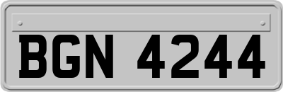 BGN4244