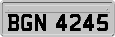 BGN4245
