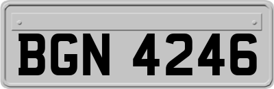 BGN4246