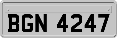 BGN4247