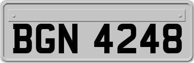 BGN4248