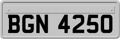 BGN4250