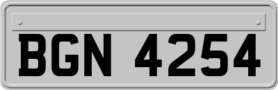 BGN4254