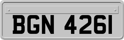 BGN4261