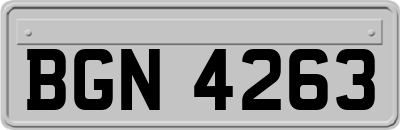 BGN4263