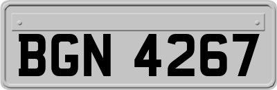 BGN4267