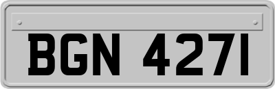 BGN4271