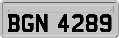 BGN4289