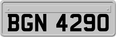 BGN4290