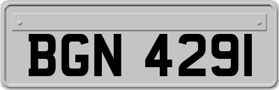 BGN4291