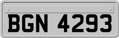 BGN4293