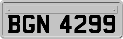 BGN4299