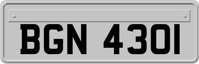 BGN4301