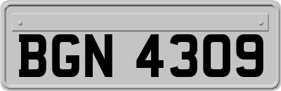 BGN4309