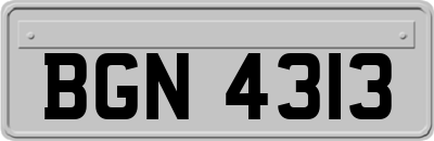 BGN4313
