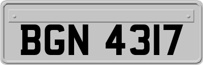 BGN4317