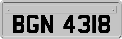 BGN4318
