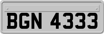BGN4333