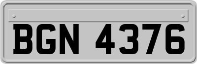BGN4376