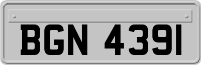 BGN4391