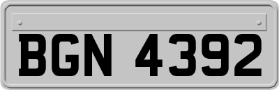 BGN4392