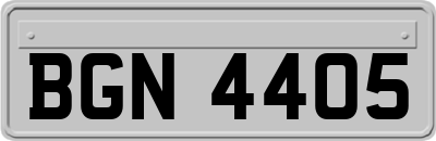 BGN4405
