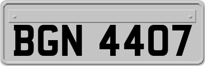 BGN4407