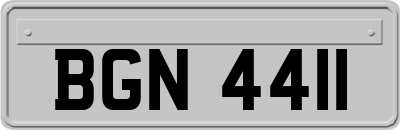 BGN4411