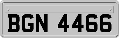 BGN4466
