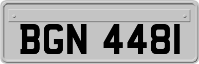 BGN4481
