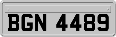 BGN4489