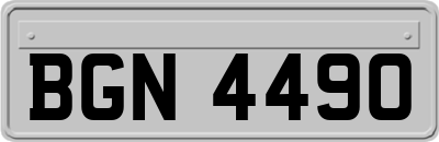 BGN4490
