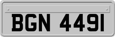 BGN4491