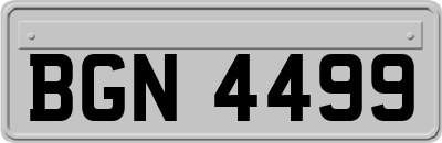 BGN4499