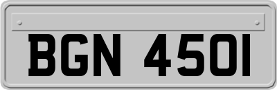 BGN4501