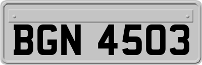 BGN4503