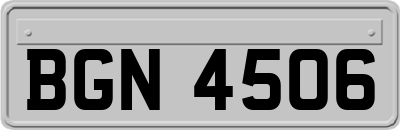 BGN4506
