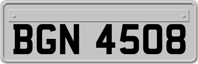 BGN4508
