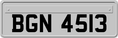 BGN4513