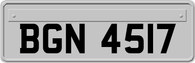 BGN4517