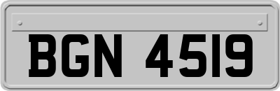 BGN4519