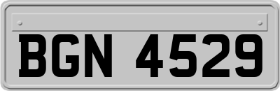 BGN4529